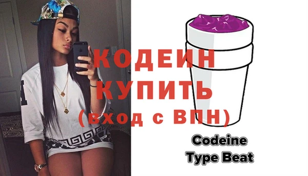 Альфа ПВП Няндома
