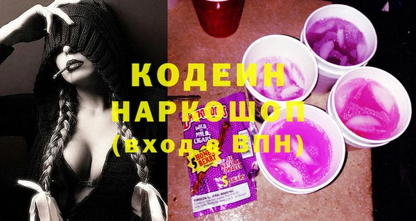 Альфа ПВП Няндома