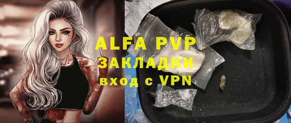 Альфа ПВП Няндома