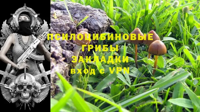 Псилоцибиновые грибы Magic Shrooms  Купино 