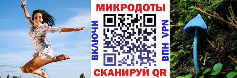 закладки Купино Галлюциногенные грибы Psilocybe